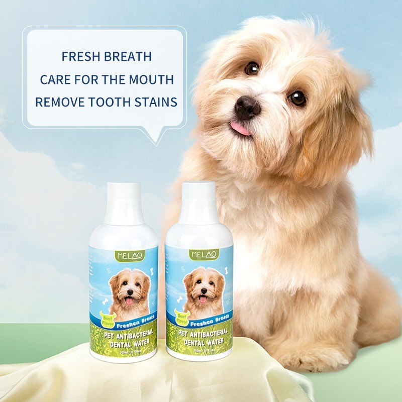 宠物狗狗猫咪宠物用品洁齿水牙齿清洁口腔洗牙水宠物漱口水图2