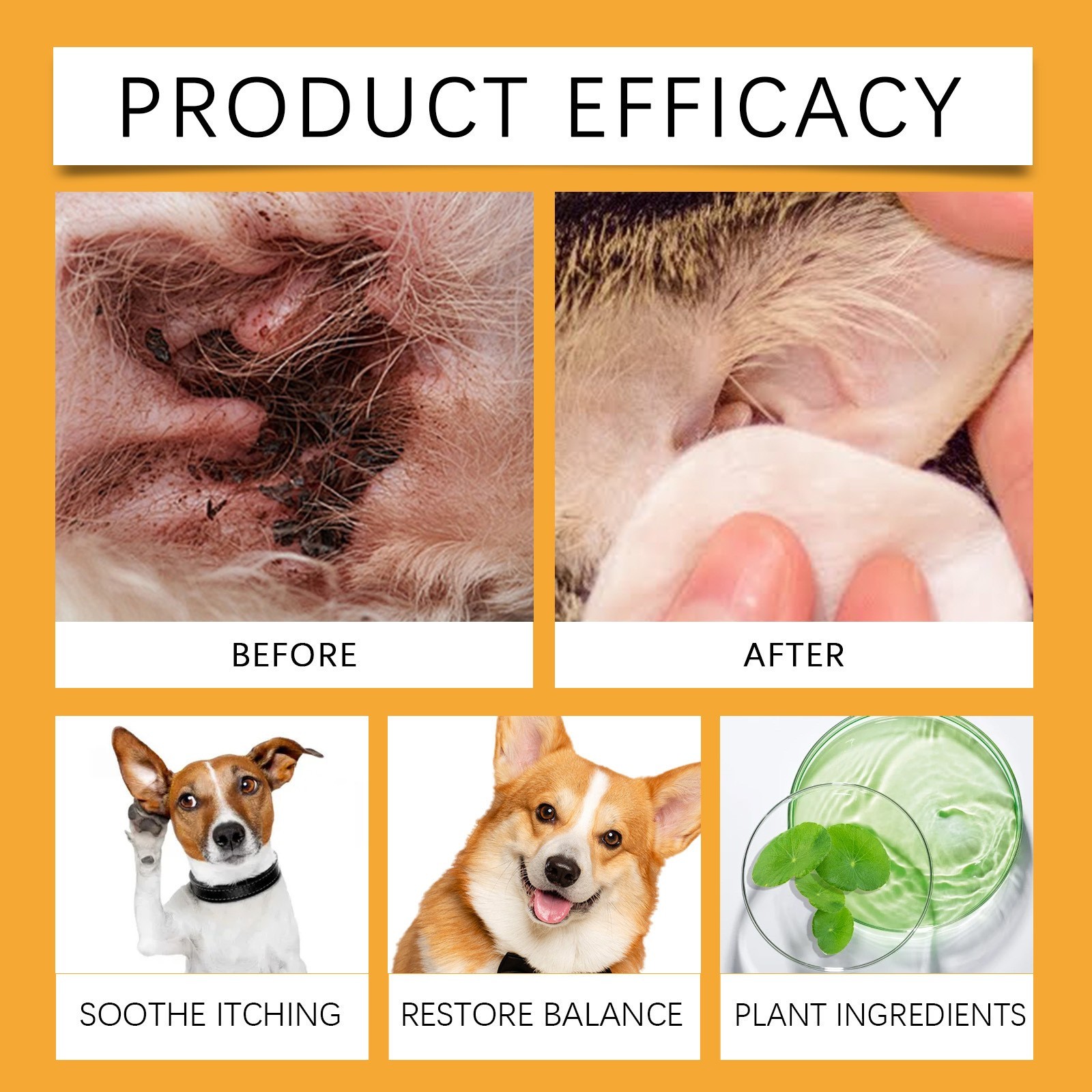 定制宠物狗狗耳朵护理滴剂日常呵护温和配方清洁耳垢舒缓耳痒耳臭图3