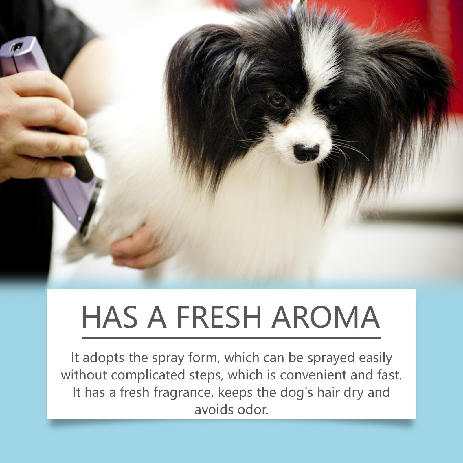 OEMODM宠物狗狗改善缠结喷雾宠物防毛发打结清洁顺滑蓬松护理喷雾图3