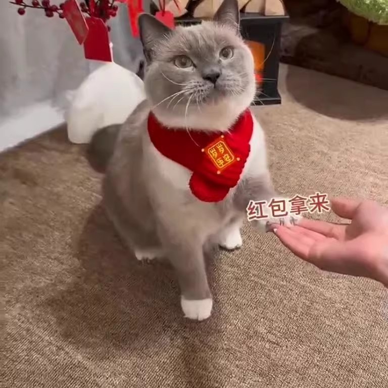 新年猫咪狗狗围巾红色可爱毛线保暖针织小狗喜庆围脖宠物配饰装饰图2