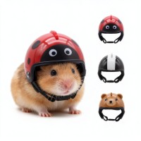 亚马逊宠物头盔仓鼠帽子可爱金丝熊鹦鹉头盔宠物装扮龙猫迷你帽子