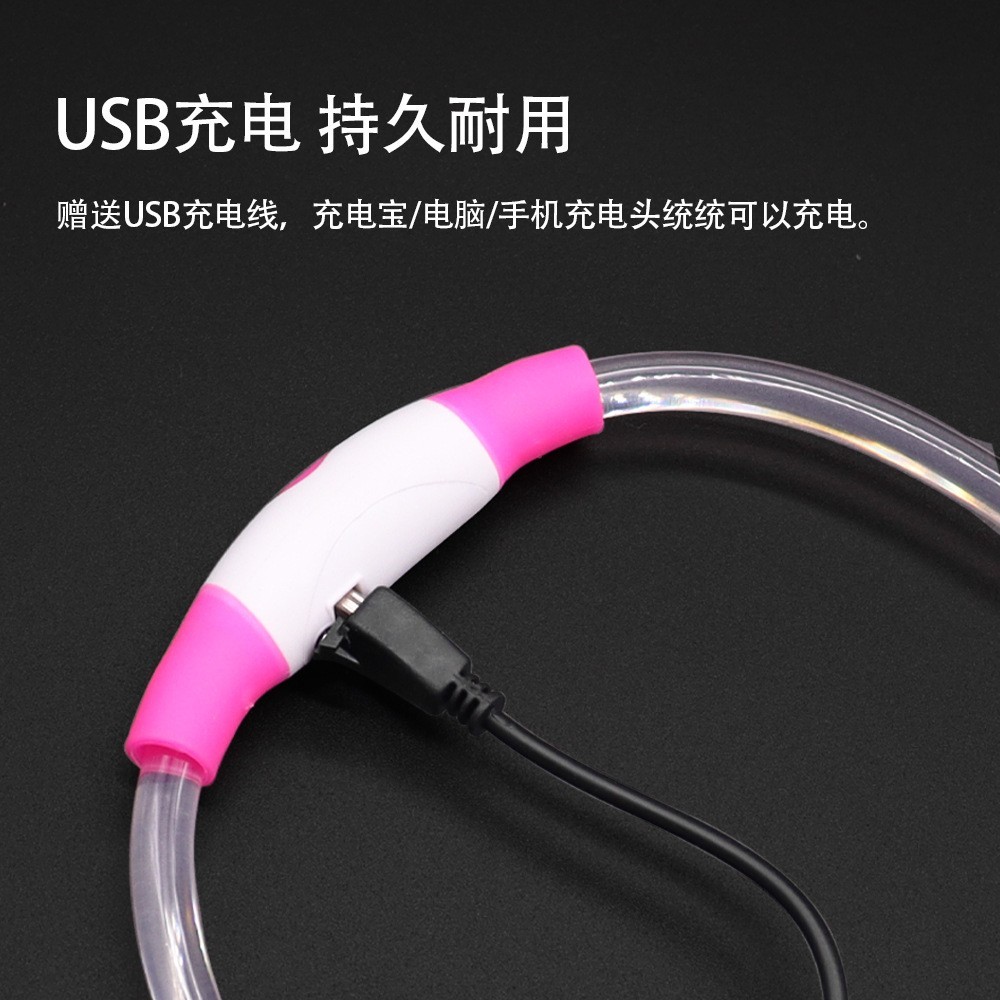 宠物发光项圈LED夜间遛狗防走失闪光灯狗狗项圈猫狗配饰颈圈图2