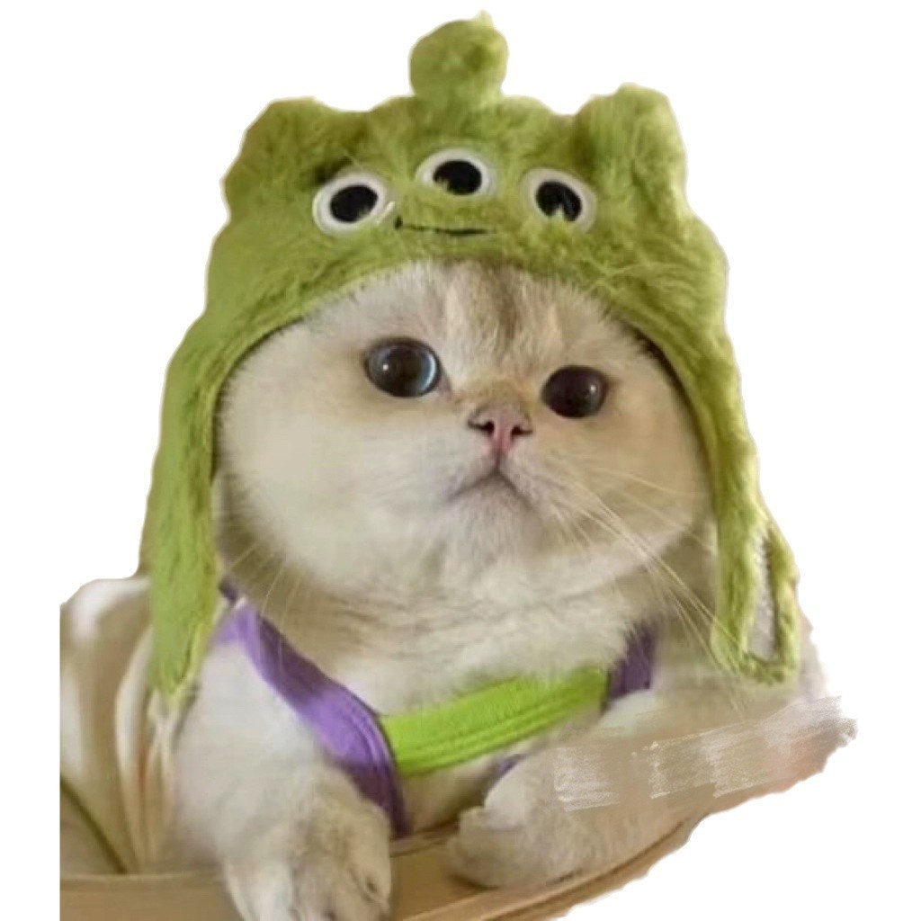 宠物三眼仔头套海星鲷鱼帽子猪猪小鸡猫咪小熊熊猫头饰搞怪装扮图5