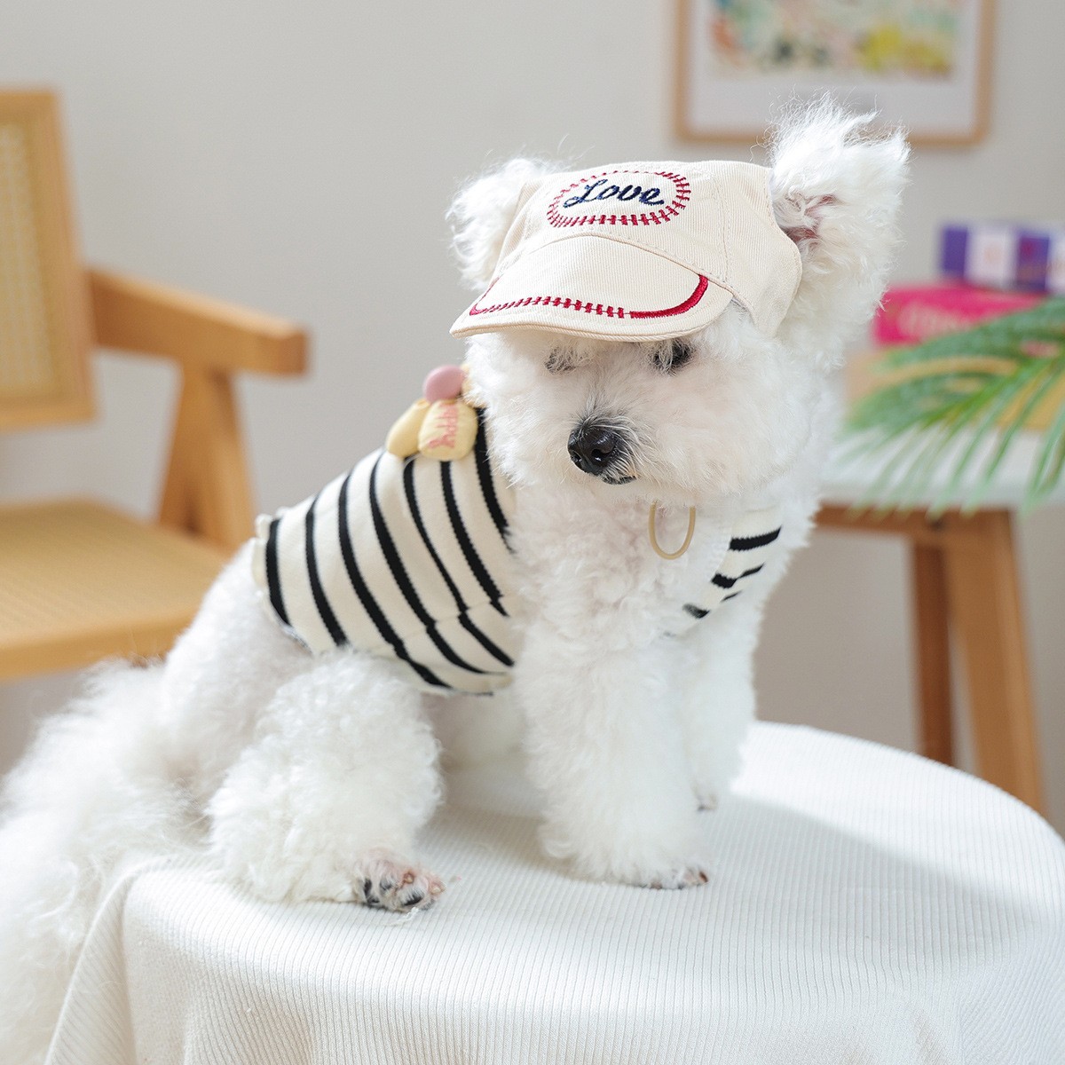 宠物小狗猫咪棒球帽子防晒遮阳帽集合图2