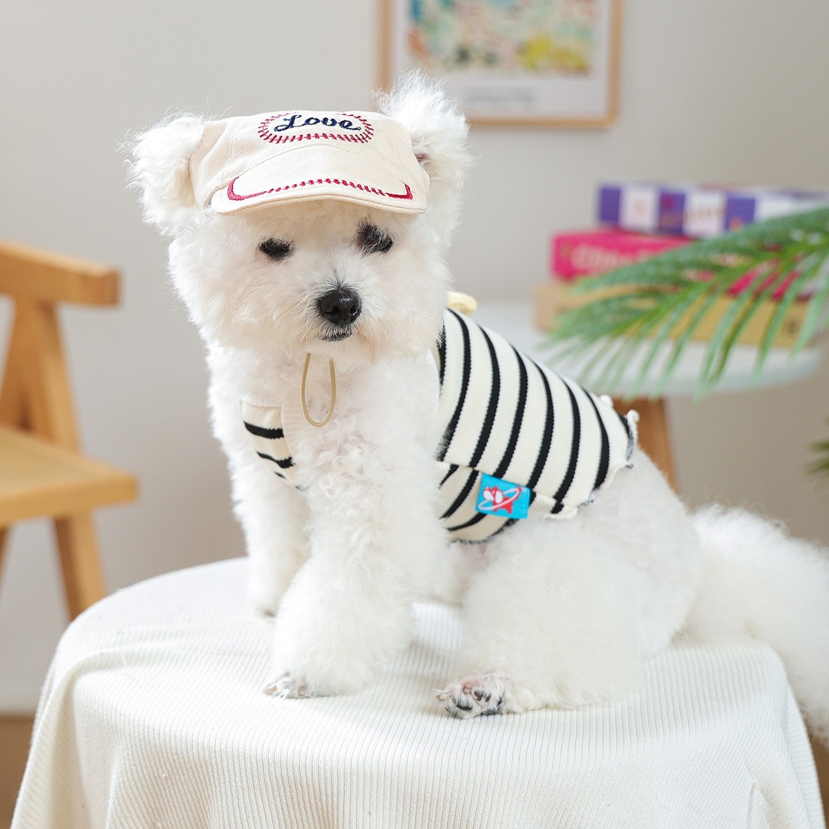 宠物小狗猫咪棒球帽子防晒遮阳帽集合图3