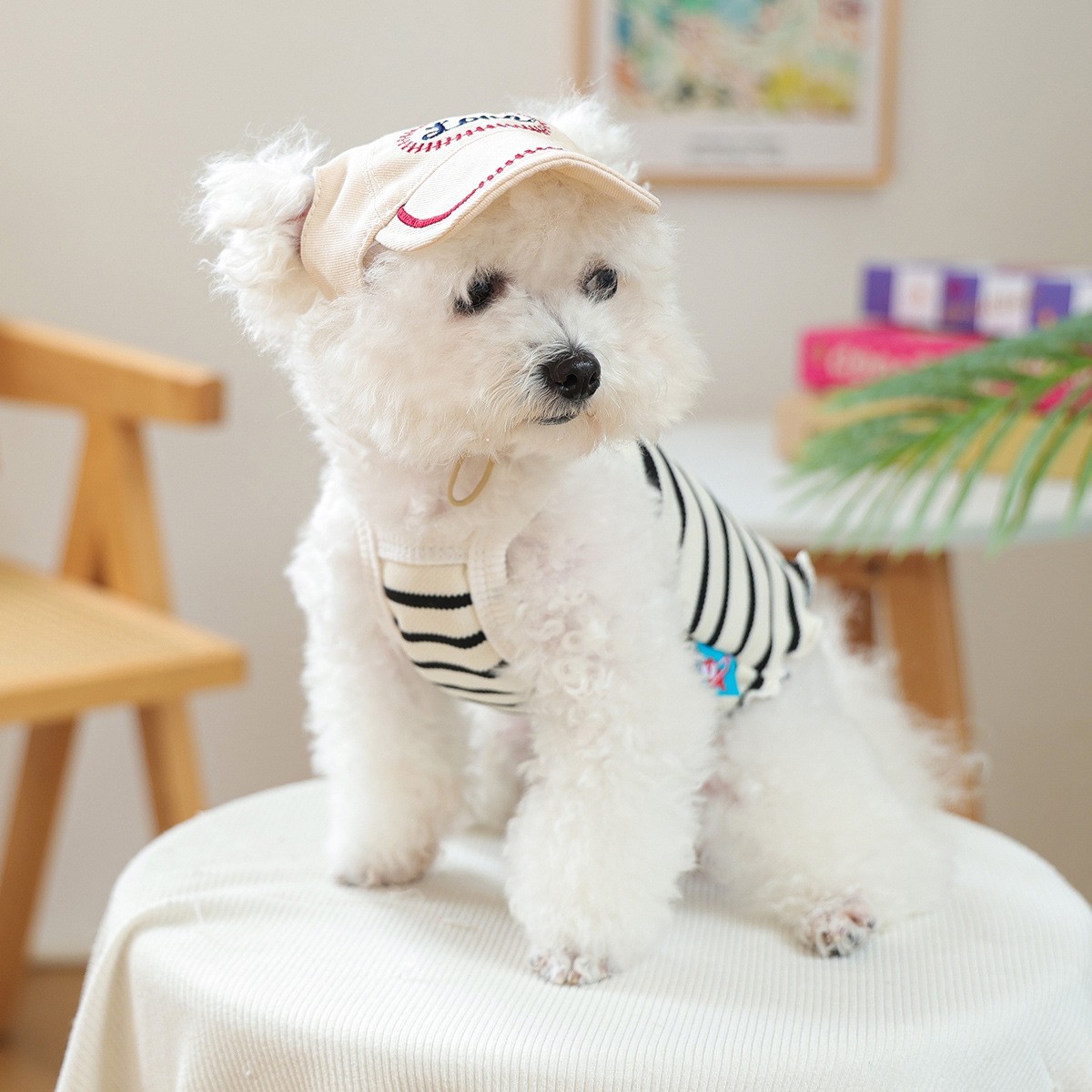 宠物小狗猫咪棒球帽子防晒遮阳帽集合图4