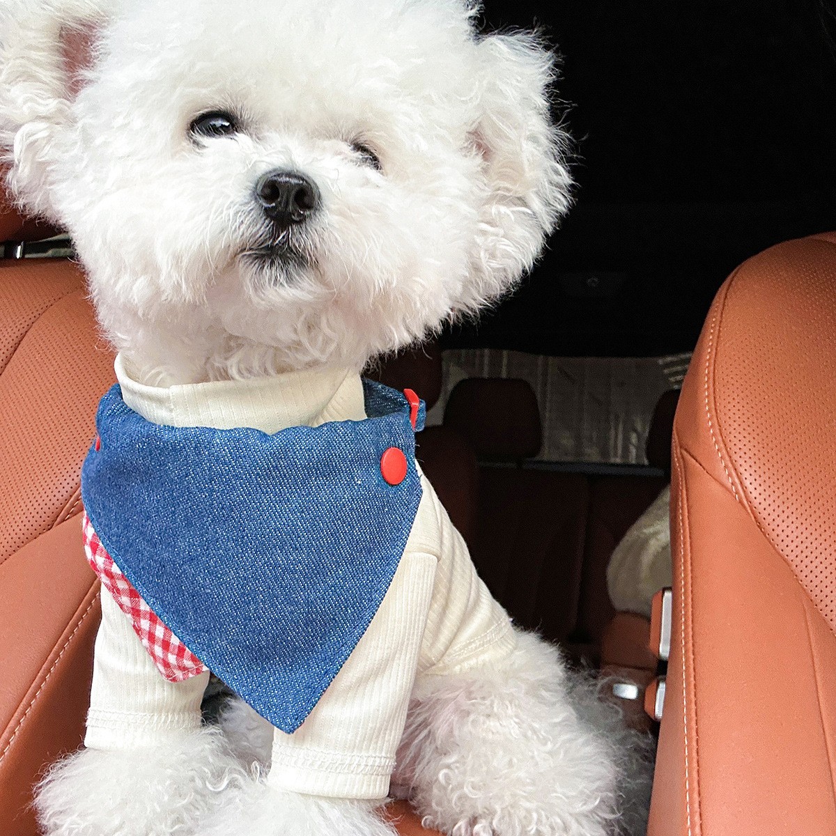 宠物服装宠物口水巾围兜三角巾围巾猫咪狗狗牛仔风格图3