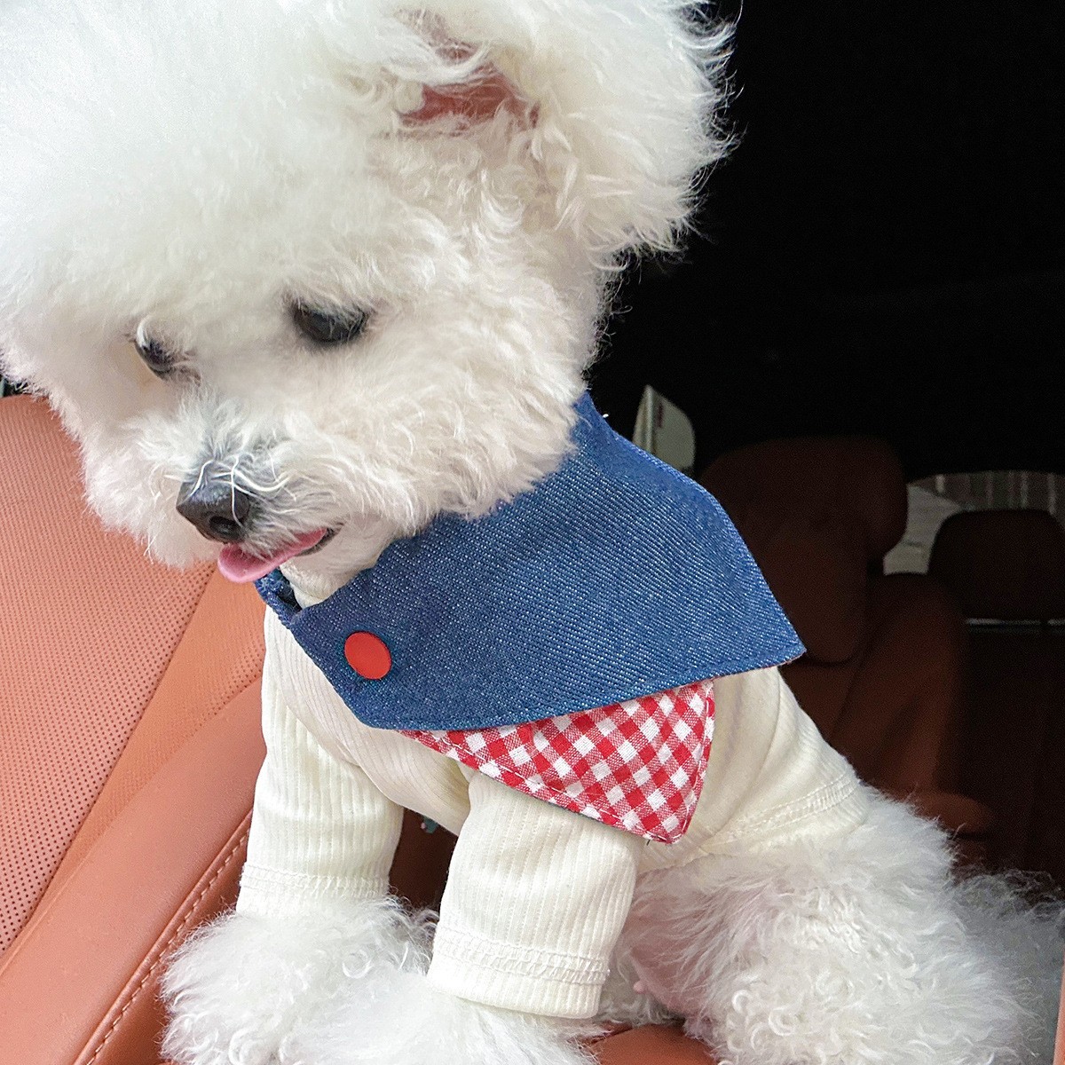 宠物服装宠物口水巾围兜三角巾围巾猫咪狗狗牛仔风格图2