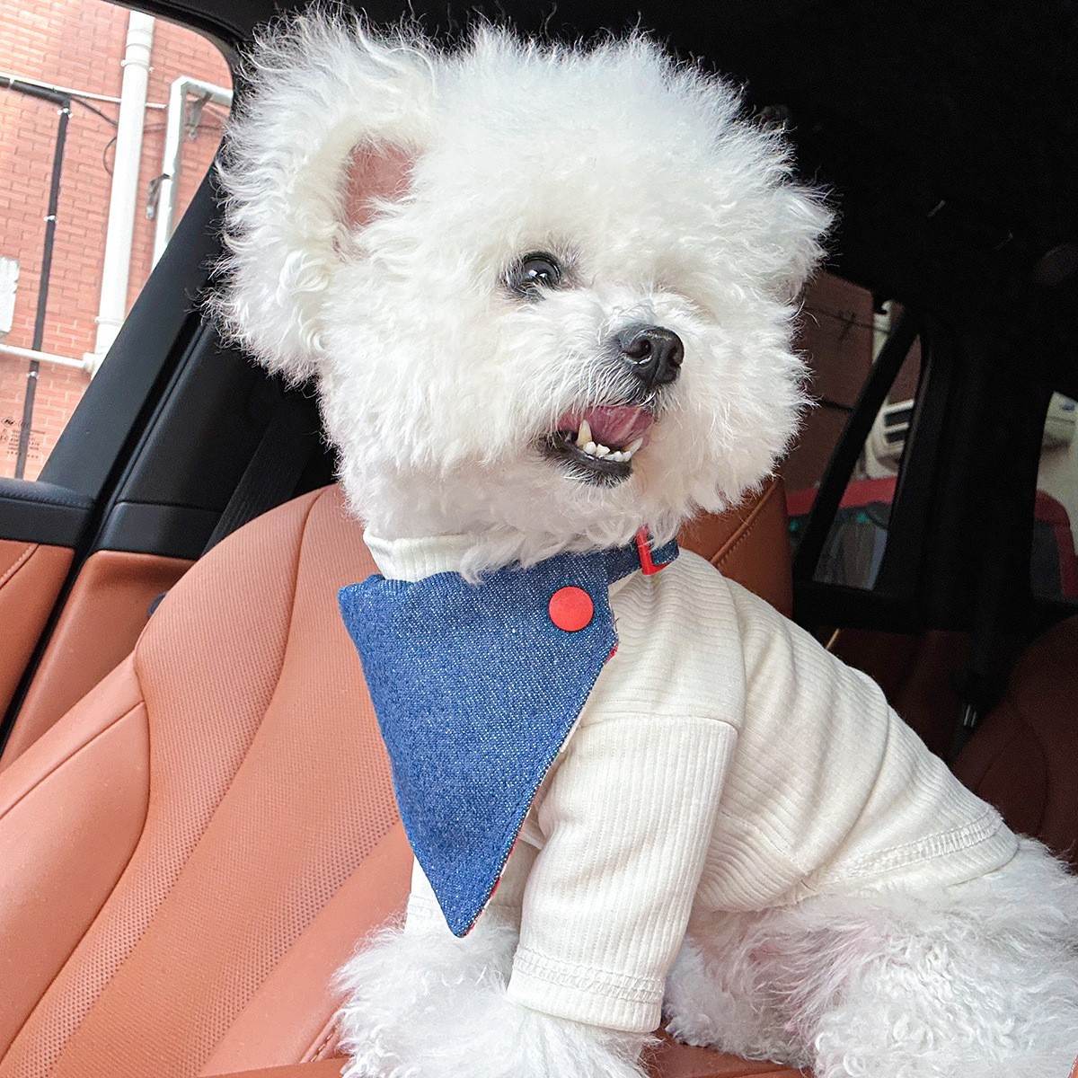 宠物服装宠物口水巾围兜三角巾围巾猫咪狗狗牛仔风格图4