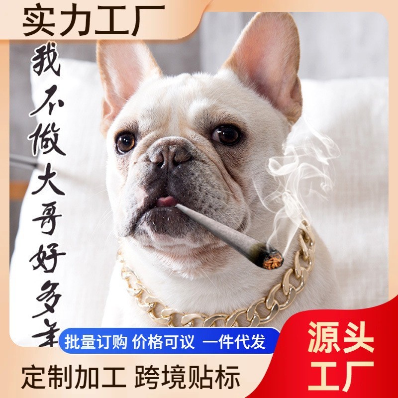 新泰迪巴哥法斗狗狗恶霸塑料金链子中小型犬项圈宠物项链饰品配饰