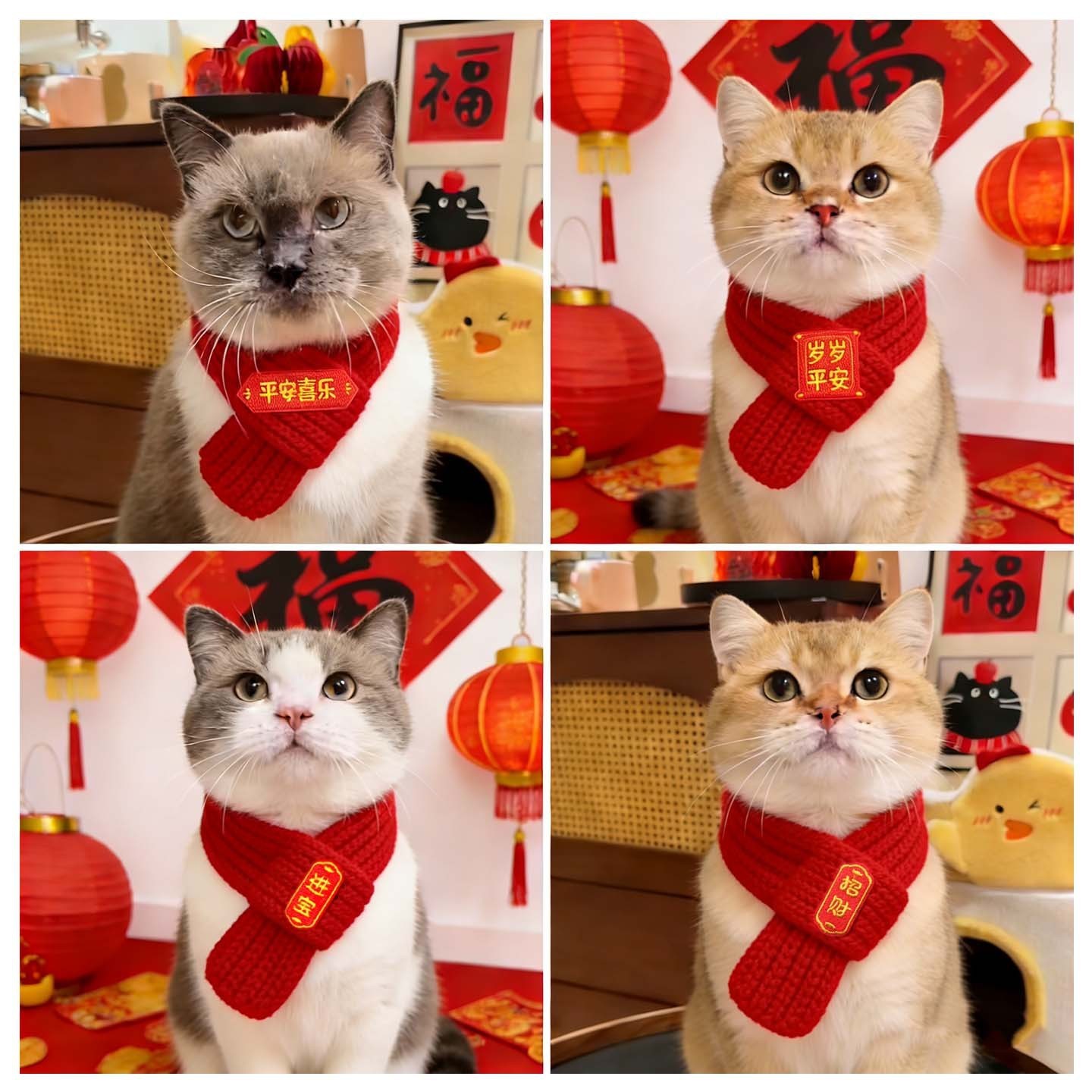 宠物围脖针织保暖红色围巾 新年小狗猫咪毛线喜庆冬季保暖饰品