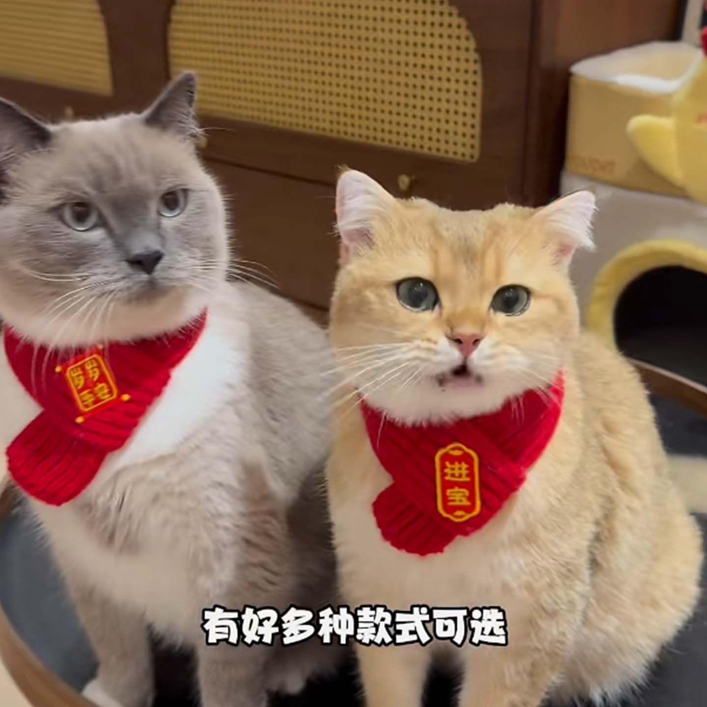 宠物围脖针织保暖红色围巾 新年小狗猫咪毛线喜庆冬季保暖饰品图3