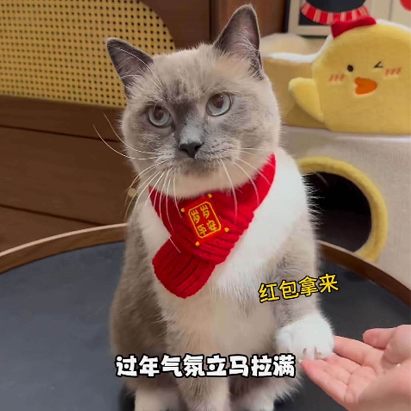宠物围脖针织保暖红色围巾 新年小狗猫咪毛线喜庆冬季保暖饰品图2