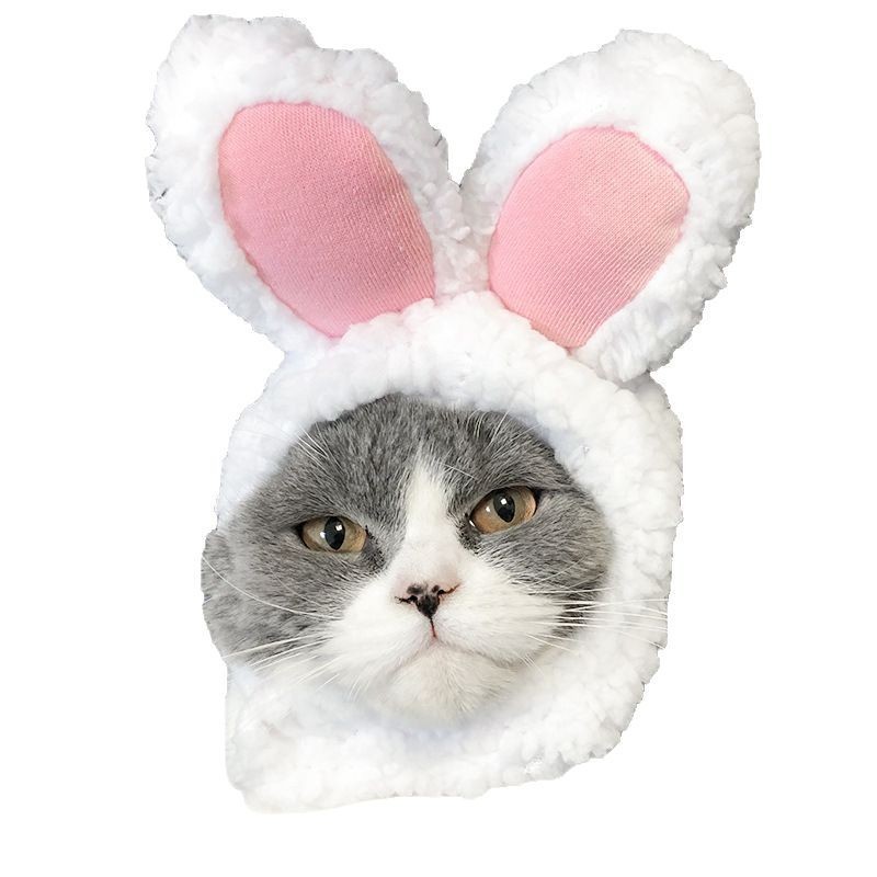 宠物猫头套宠物帽子狗狗头饰宠物狗搞怪宠物用品布偶英短小狗装饰图5