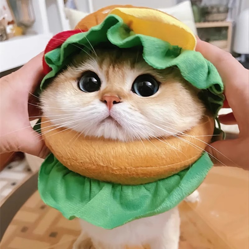 宠物猫头套汉堡头套猫咪帽子可爱头饰布偶英短小型犬帽子猫咪头套图4