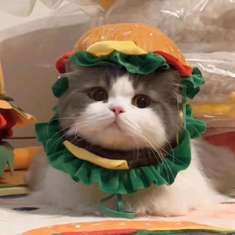 宠物猫头套汉堡头套猫咪帽子可爱头饰布偶英短小型犬帽子猫咪头套图3