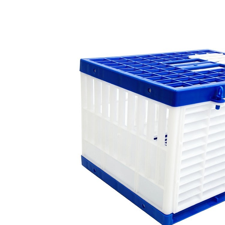 鸽笼放飞笼训放笼折叠拼接塑料训鸽子笼子赛鸽信鸽用品鸽具用具图4