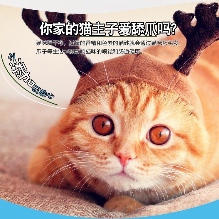 柠檬猫砂20公斤膨润土除臭低尘结团矿猫沙10斤10kg猫咪正品图4