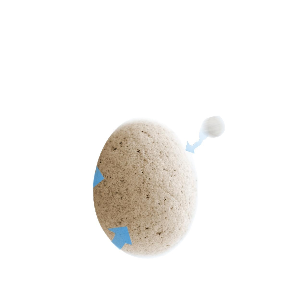 膨润土猫砂20公斤混合木薯矿砂无粉尘豆腐40斤除臭实惠装猫沙图5