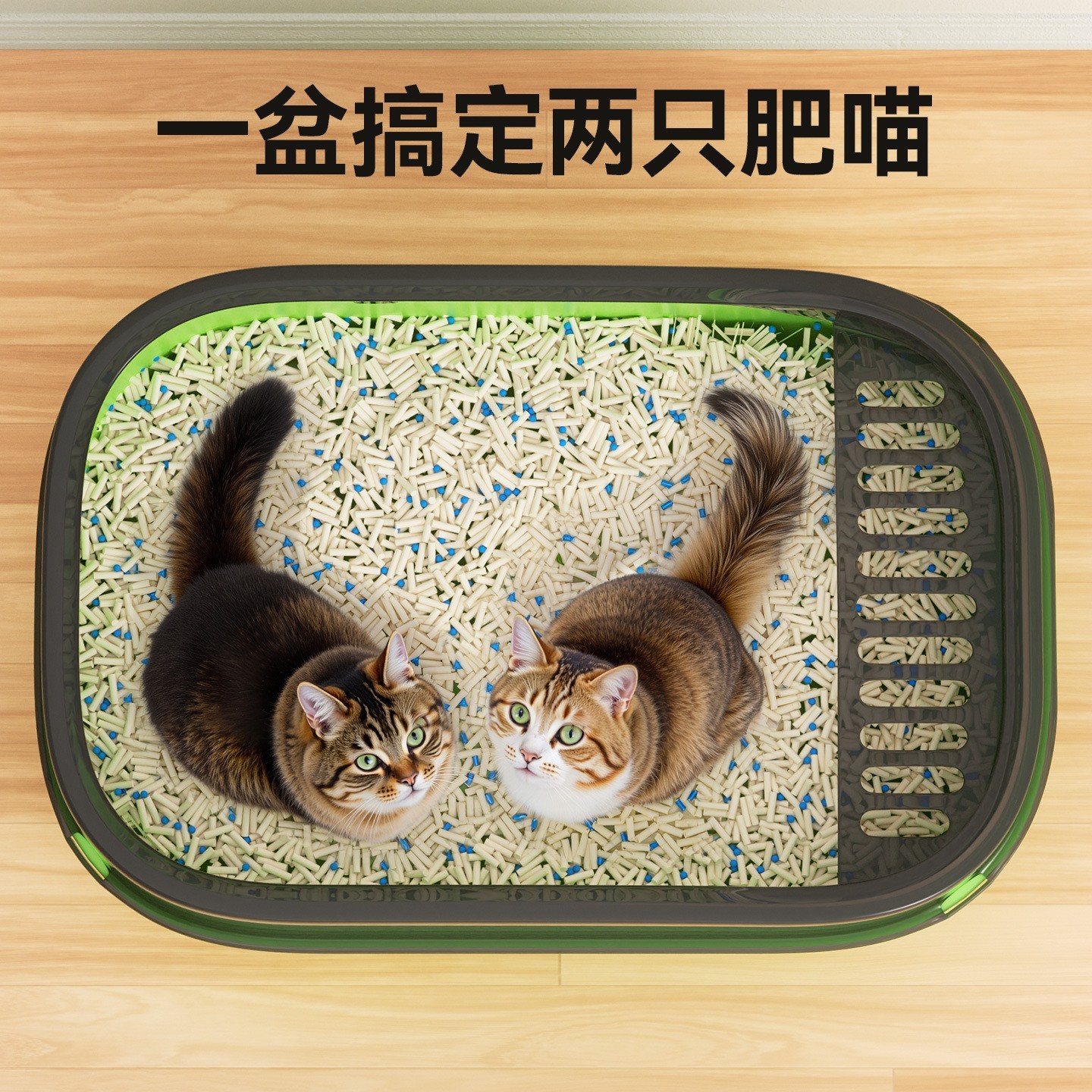 猫砂盆超大号防外溅半封闭开放式猫厕所猫沙盆幼成猫屎盆猫咪用品图3