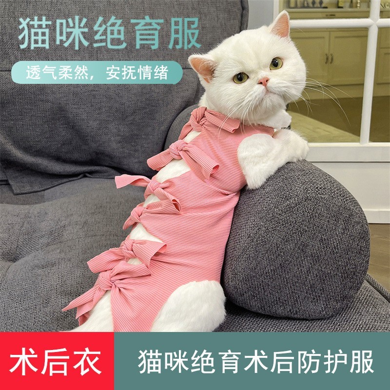 猫咪绝育服绑带母猫断奶服猫猫防舔衣服母猫狗宠物公猫术后手术服图3