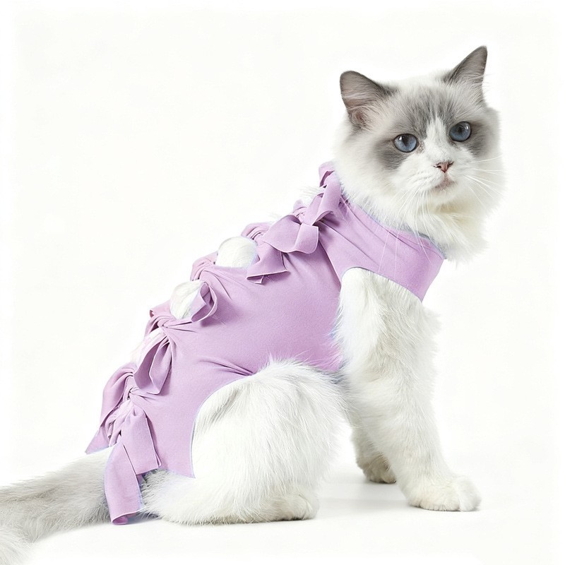 猫咪绝育服绑带母猫断奶服猫猫防舔衣服母猫狗宠物公猫术后手术服图5