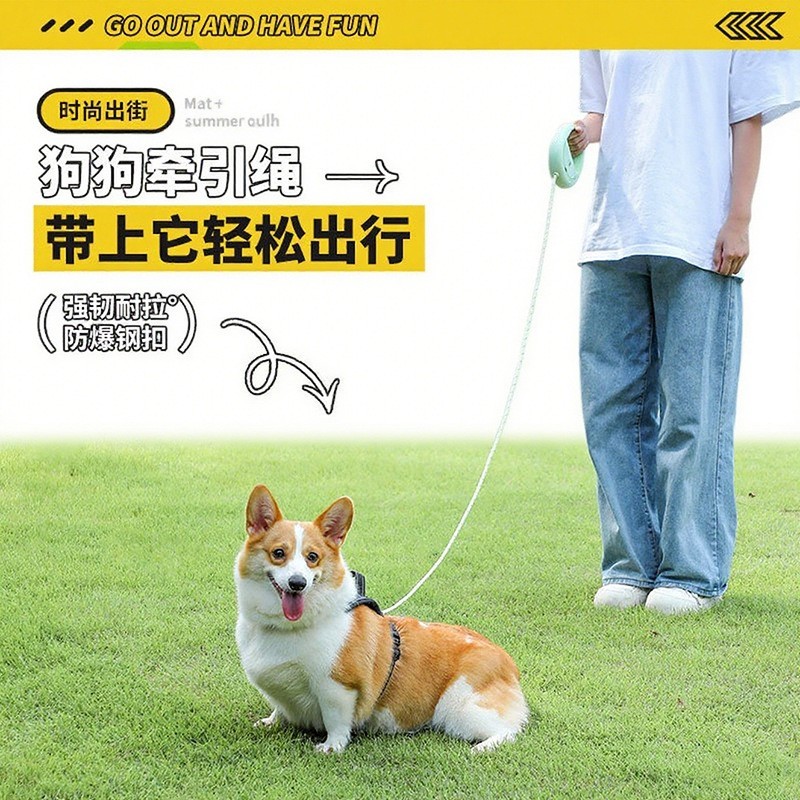 宠物牵引绳配套拾便袋狗链可调节安全卡扣防爆冲中小型犬通用狗绳