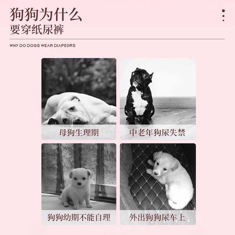 狗狗生理裤尿不湿母狗公狗专用纸尿裤女狗卫生巾宠物姨妈巾拉拉裤图3