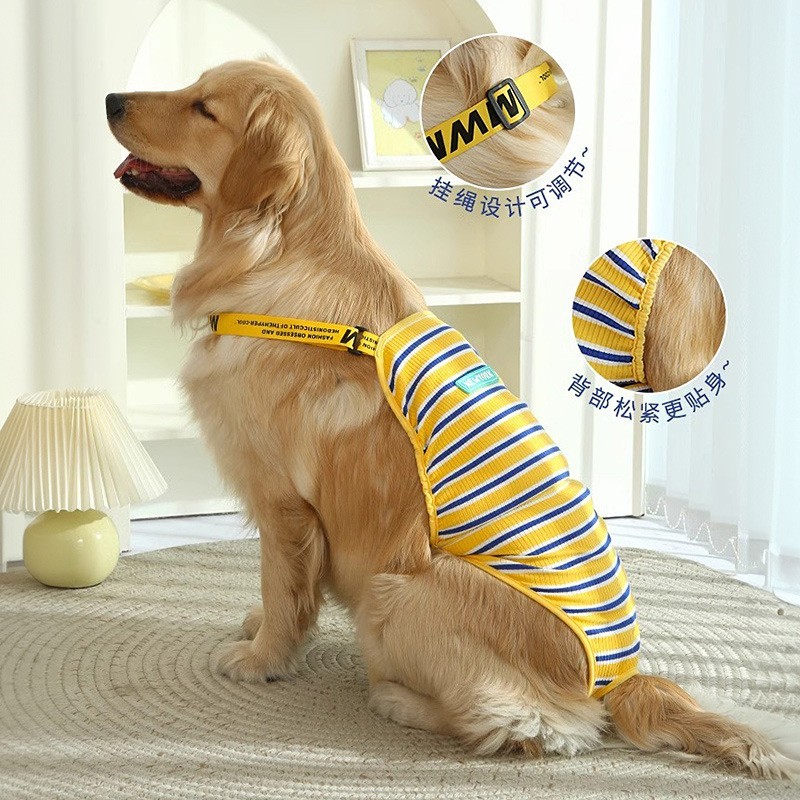 狗狗生理裤大型犬母狗拉布拉多防交配女大狗母月经内裤金毛姨妈裤图4