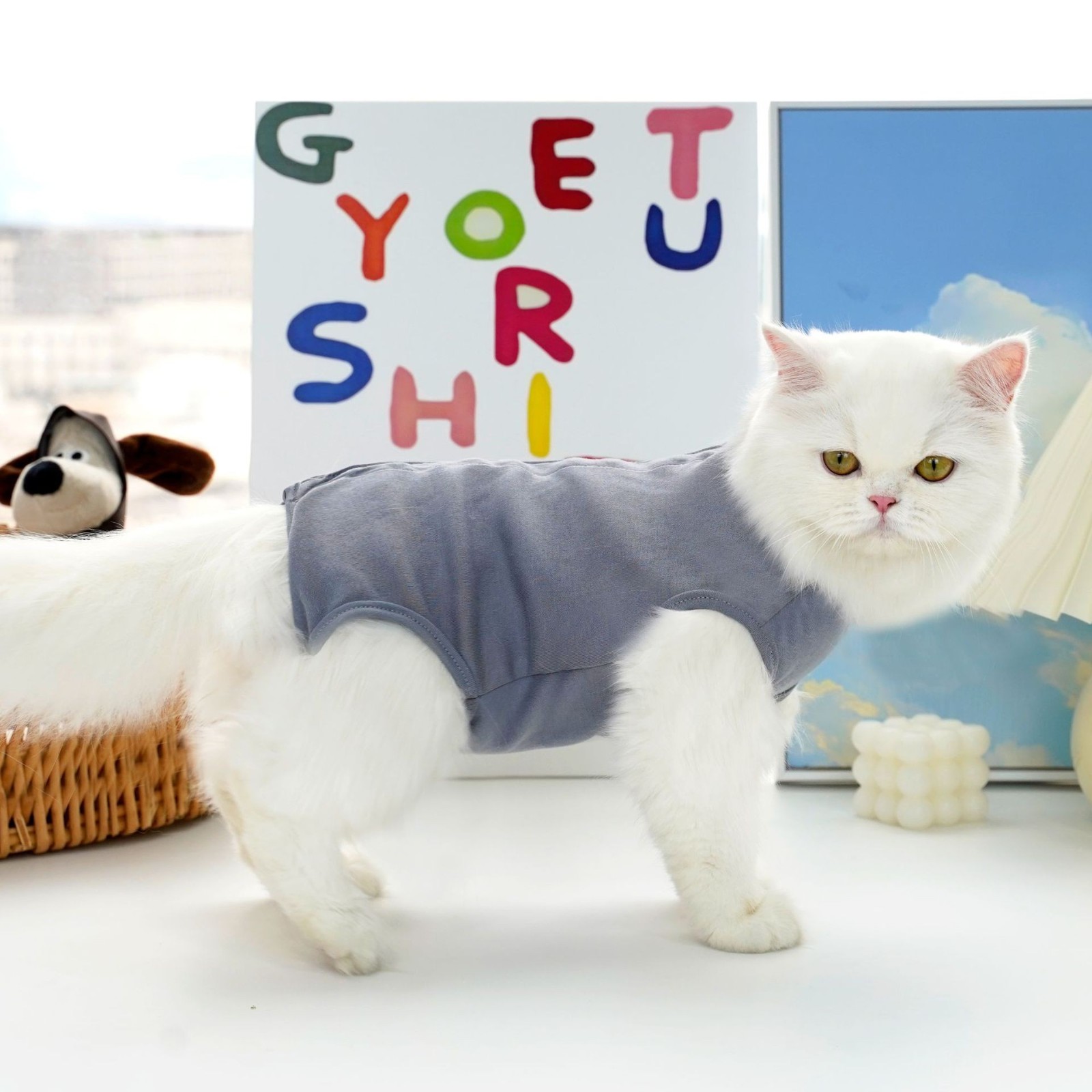 宠物四季可穿纯色条纹猫绝育服狗狗猫咪衣服小中型犬款术后狗衣服图5