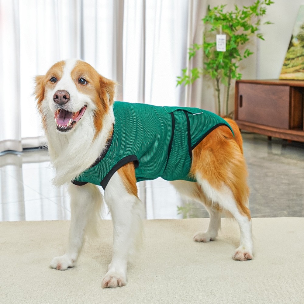 跨境中大狗狗绝育服生理裤手术后服狗衣服用品比熊猫咪金毛柯基