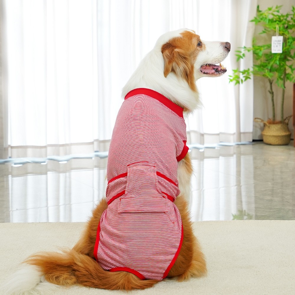 跨境中大狗狗绝育服生理裤手术后服狗衣服用品比熊猫咪金毛柯基图3