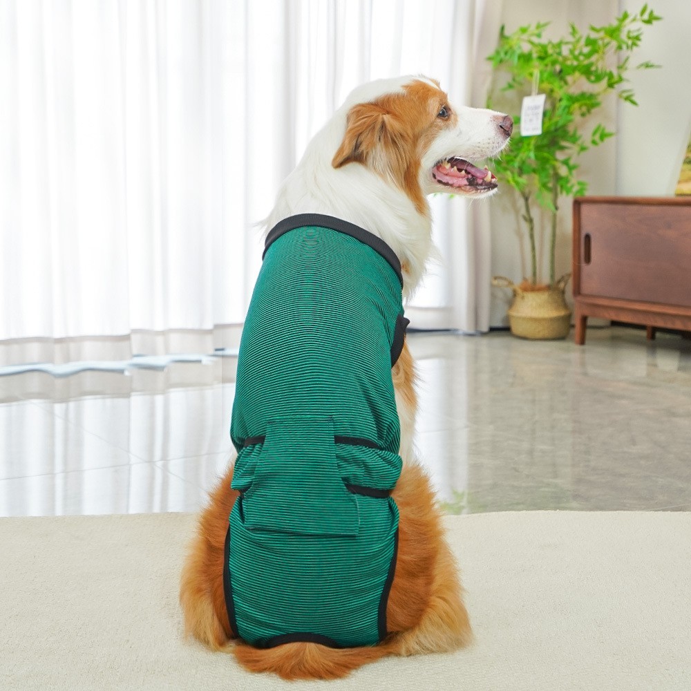 跨境中大狗狗绝育服生理裤手术后服狗衣服用品比熊猫咪金毛柯基图2