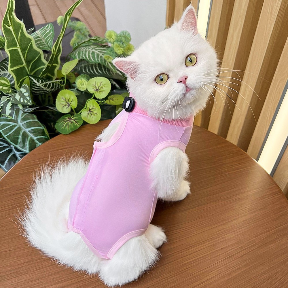 宠物用品猫咪衣服猫绝育术后服防舔咬柔软超弹英短蓝猫无毛用品图3