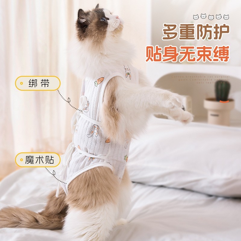 新款四季防舔绝育服手术服母猫断奶服猫猫薄款猫咪衣服跨境图2