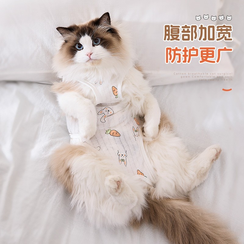新款四季防舔绝育服手术服母猫断奶服猫猫薄款猫咪衣服跨境图3