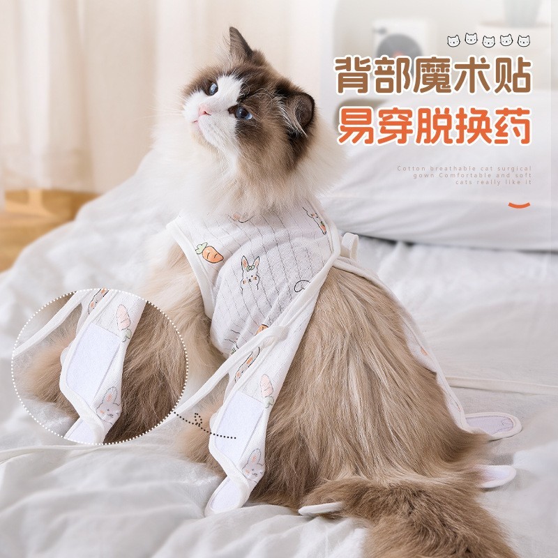 新款四季防舔绝育服手术服母猫断奶服猫猫薄款猫咪衣服跨境图4