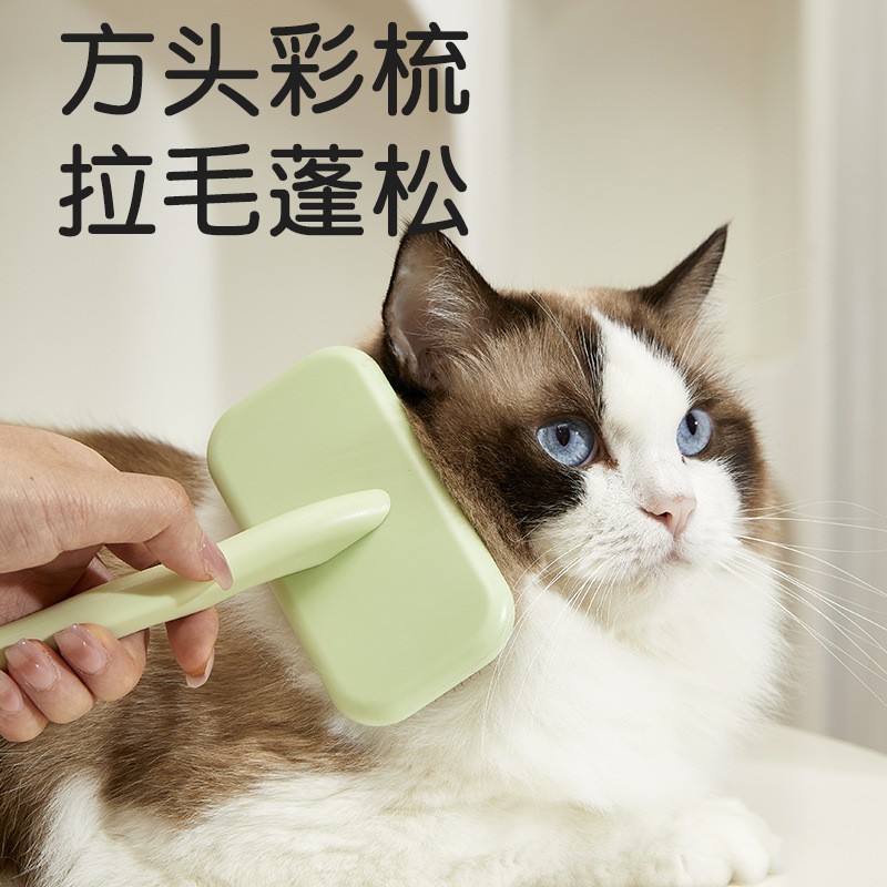新款猫咪拉毛梳宠物毛刷美容专用狗毛猫咪针梳家用按摩梳图3