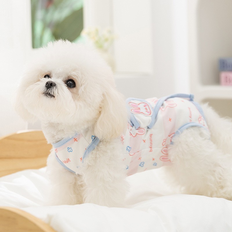 春夏季薄款小型犬包肚衣猫咪四脚断奶宠物手术服猫绝育服狗狗衣服