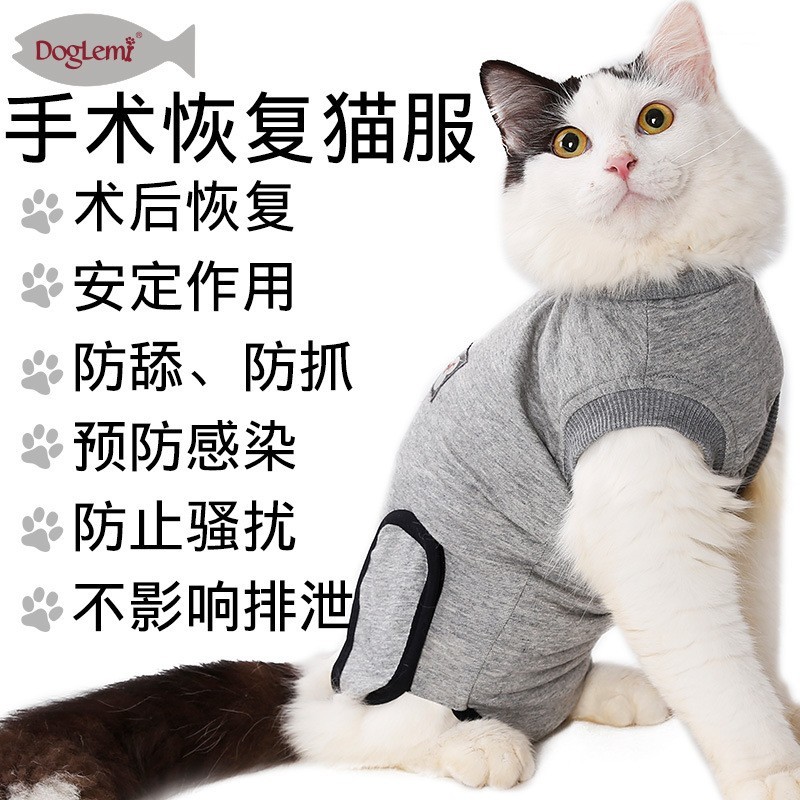 纯棉宠物绝育服透气防舔防抓术后猫咪衣服防骚扰猫咪绝育服图3