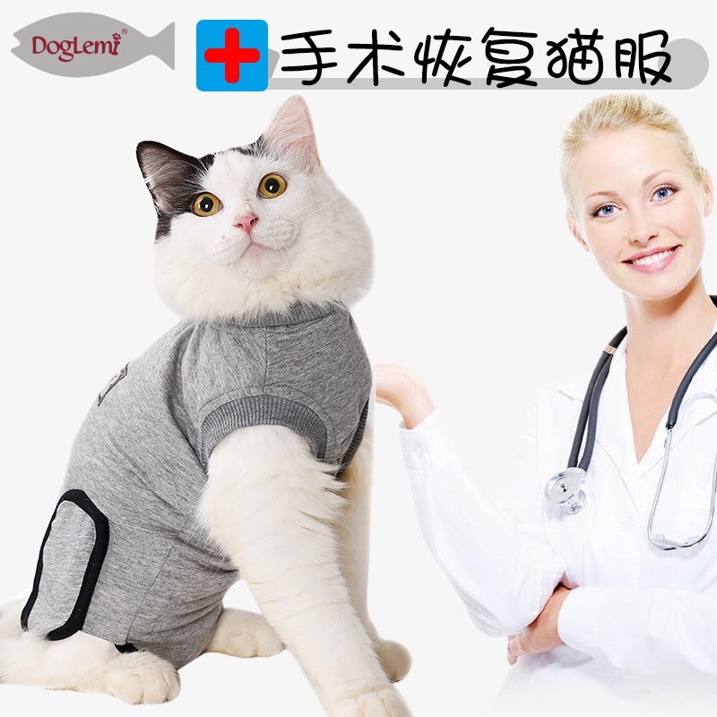 纯棉宠物绝育服透气防舔防抓术后猫咪衣服防骚扰猫咪绝育服图2
