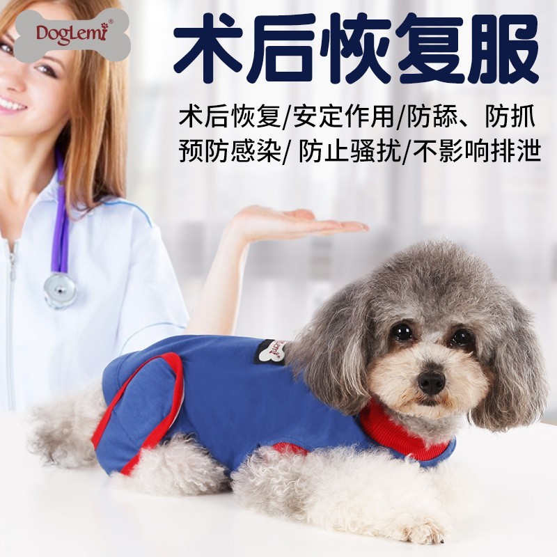 狗狗手术后绝育宠物衣服防舔防抓狗狗服装柔软高弹棉布宠物用品