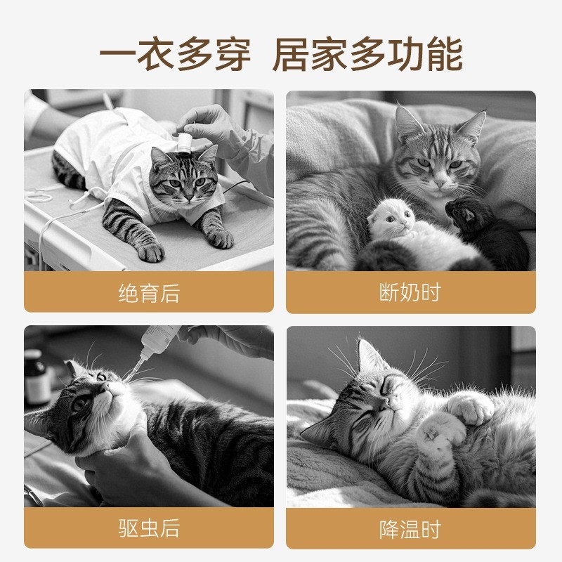 宠物术后绝育服防舔防脱德文猫透气母猫断奶服四脚包肚衣宠物衣服图2