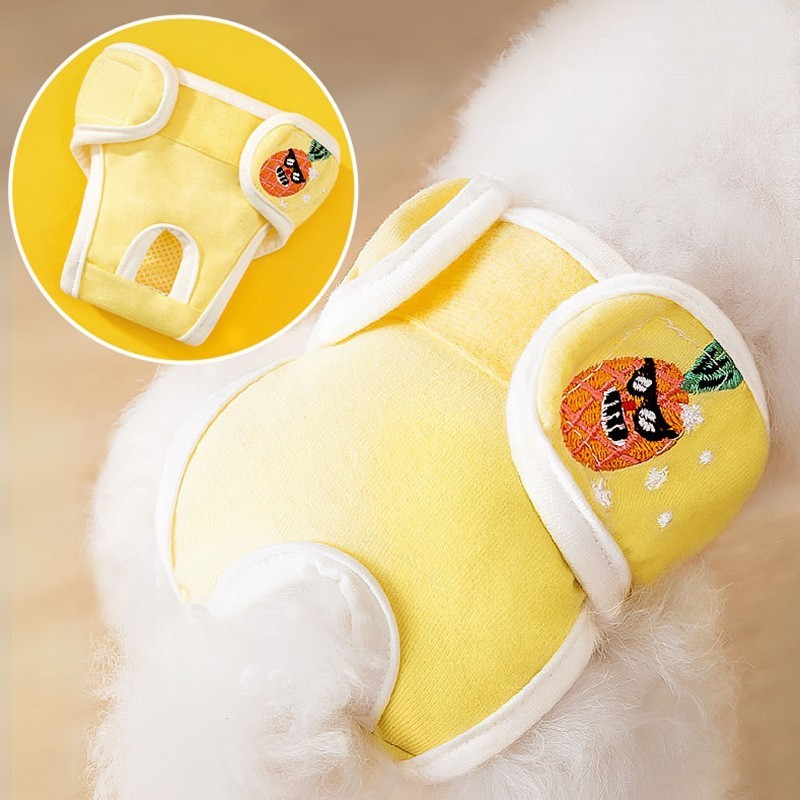 狗狗生理裤母狗小型泰迪月经裤比熊大姨妈女卫生巾宠物经期姨妈裤