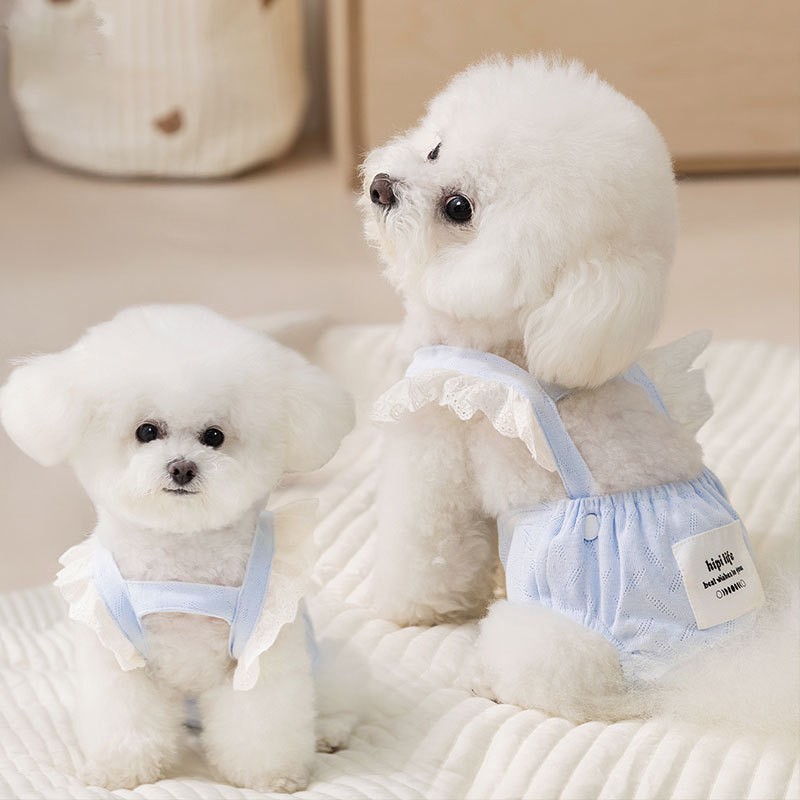 狗狗生理裤纯棉提花透气安全裤防骚扰母狗月经裤四季宠物纸尿裤