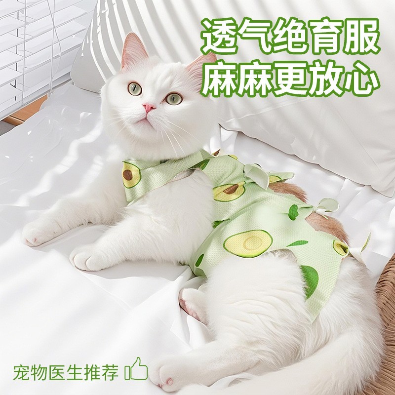 猫咪绝育服宠物绝育服小幼犬断奶服防舔服小狗术后服宠物狗绝育服图2