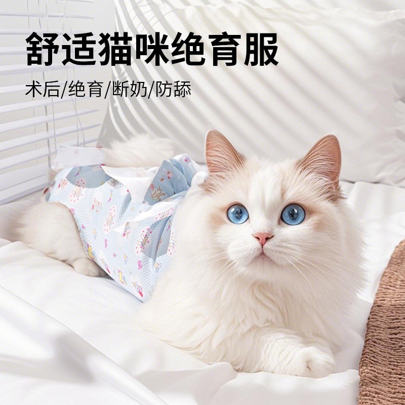 猫咪绝育服宠物绝育服小幼犬断奶服防舔服小狗术后服宠物狗绝育服图3