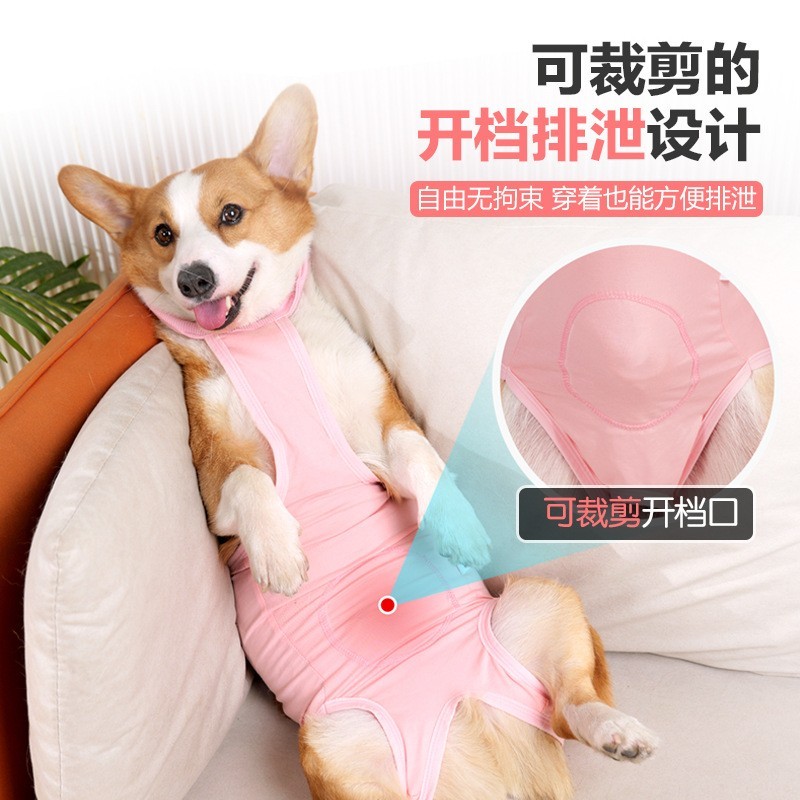 跨境新品宠物衣服狗狗术后康复服中大型犬绝育服断奶绑带款防舔舐图2