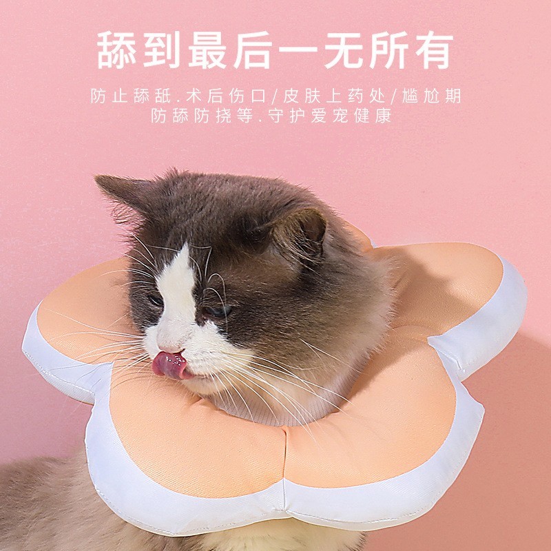 猫咪项圈伊丽莎白圈宠物狗圈脖圈防水圈防舔咬耻辱圈绝育宠物用品图4