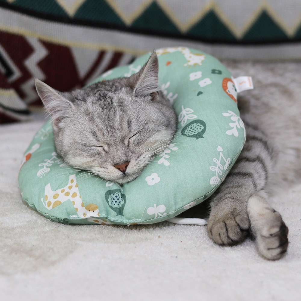 宠物猫咪绝育术后项圈伊丽莎白圈防咬防舔猫脖圈耻辱圈软猫咪用品图2